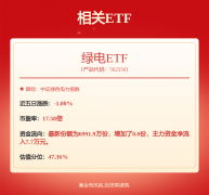 国投电力： 国投电力控股股份有限公司2024年度向