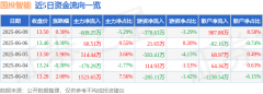 股票行情快报：国投智能（300188）6月9日主力资金