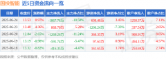 股票行情快报：国投智能（300188）6月24日主力资