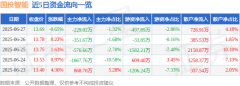 股票行情快报：国投智能（300188）6月27日主力资