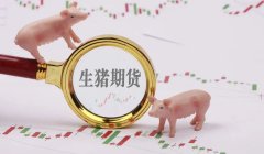 非法证券、期货、期货活动典型案例解读（三）