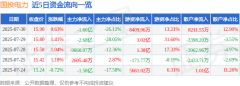 股票行情快报：国投电力（600886）7月30日主力资